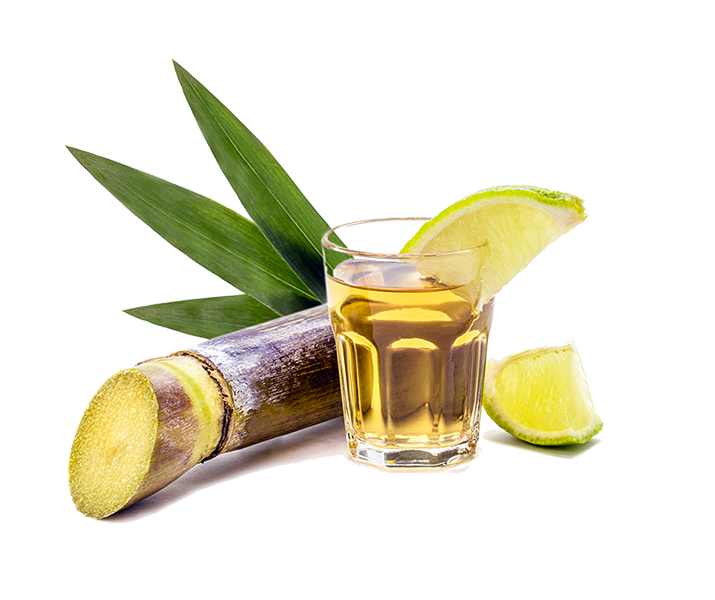 brazilian-pinga-cup-isolated-white-background-with-sugar-cane-side